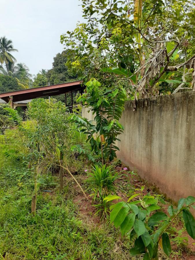 Homestay Idaman Di Kuala Terengganu Dengan 2 Bilik Aircond - Harga Utk 1 Rumah エクステリア 写真