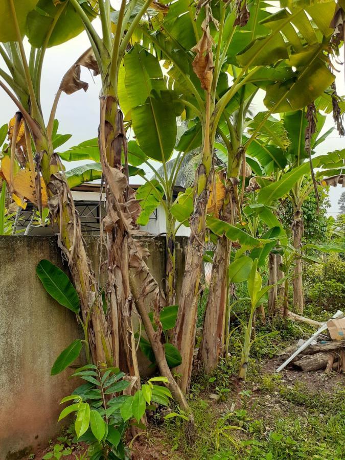 Homestay Idaman Di Kuala Terengganu Dengan 2 Bilik Aircond - Harga Utk 1 Rumah エクステリア 写真
